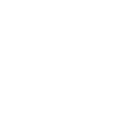 謝爾辛格港區店 官方 logo