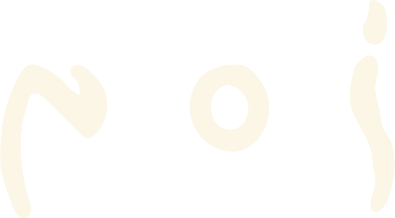 诺伊 官方 logo