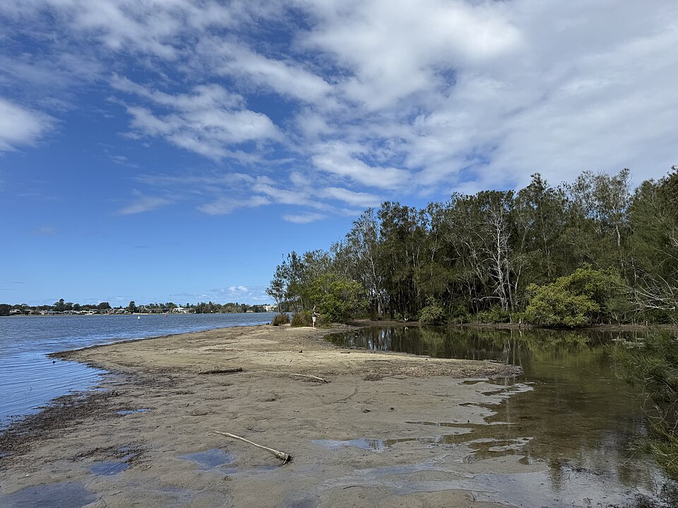 资料图:悉尼北滩的Narrabeen Lagoon(2026年2月摄)