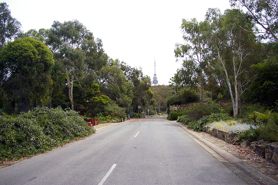 澳大利亚国家植物园(Australian National Botanic Gardens)